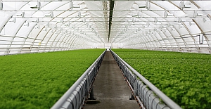 Tarımda Sürdürülebilir Sulama İçin Yağmur Hasadı Şart!