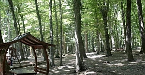 Ankara'da ormanlık alanlara 30 Eylül'e kadar giriş yasaklandı