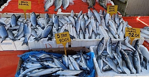 Sıcak havada balığa rağbet yok