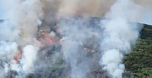 Yangınlar aldı yürüdü: Bu defa yine Muğla'da ikinci yangın