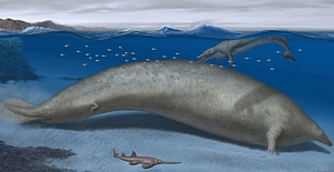 Dünyanın şimdiye kadar bilinen en ağır hayvan adayı