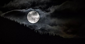 'Kurt adam’ efsanesi gerçek oldu: Yıllardır ormanda yalnız yaşadığı tespit edildi