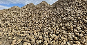 Şekerde yeni kotalar belirlendi