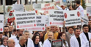 Veteriner hekimler de greve çıkıyor!
