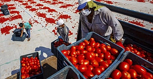 Yaz meyve ve sebzelerinde üretim ve kalite düşüyor, gıda enflasyonu artıyor