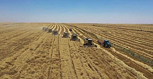 Çiftçiler dikkat! Tarımda izinsiz üretim bitti