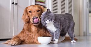 Evcil Hayvan Ürünleri PETZOO Eurasia Fuarı başlıyor