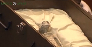 Meksika Kongresi'nde gerçekten uzaylılar mı sergilendi?