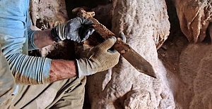 Ölü Deniz'deki mağarada 1900 yıllık Roma kılıçları bulundu