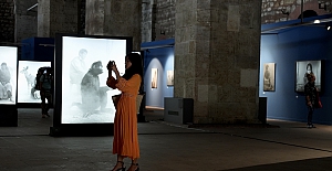 "212 Photography" Istanbul festivali sona erdi