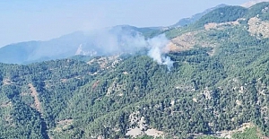 Muğla ve Aydın’da orman yangını