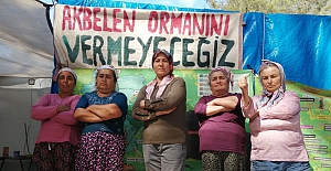 Akbelen’den 25 Kasım mesajı: "Kadını ve doğayı katledenler aynı"