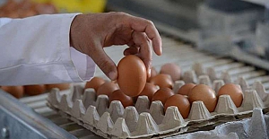 Yumurta üreticilerine ‘kartel oluşturma’ cezası