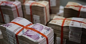 Bir Seçil Erzan vakası daha: 100 milyon dolarlık vurgun iddiası