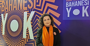 Kadına yönelik şiddetle mücadelede kurumlar arası işbirliği şart