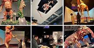 100 Bine yakın kişi ziyeret etti: Sergi süresi uzatıldı