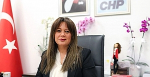 CHP Genel Başkanı Yardımcısı Koza Yardımcı, partisindeki görevinden istifa etti