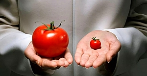 Genetiği değiştirilmiş ürünlerin sağlık üzerindeki etkileri