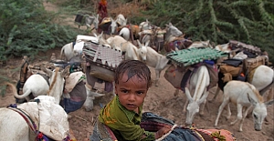 İklim krizinin yeni sonuçları ve İklim mültecileri