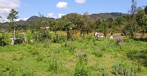 İzmir'de İklim Dostu Çiftlikler Projesi başladı