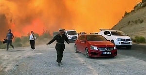 Küllerinden doğuş: Marmaris ormanlarında son durum