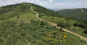 42 ilde ormanlara giriş yasağı