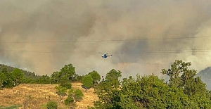 Bursa Büyükorhan ilçesinde orman yangını!