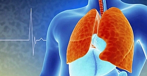 Verem olarak bilinen tüberkülozun, en ölümcül bulaşıcı hastalık olduğu açıklandı