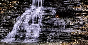 Dünya üzerindeki sayıları 50'nin altında, bir tanesi de Türkiye'de! Binlerce yıllık kaynaklarda bile adı geçiyor... Sırrı ne?