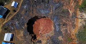 Ağaçlar, kaçak madencilere karşı casusluk yapıyor!