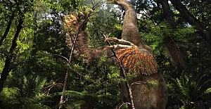 Bilim İnsanları, iki pençeli özel bir dinozor türü keşfetti