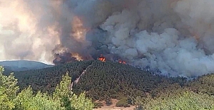 İzmir Foça ilçesinde yangın: 11 uçak ve 13 helikopter desteğiyle müdahale sürüyor!