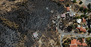 İzmir ve Bilecik'te yangından etkilenen ilçeler "Genel Hayata Etkili Afet Bölgesi" ilan edildi