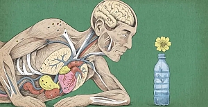 Bedenimizin içindeki mikroplastikler sağlığımızı nasıl etkiliyor?