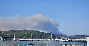 Çanakkale Gelibolu'da orman yangını!