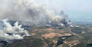 Güney Avrupa'da orman yangınları: Ölü sayısı artıyor