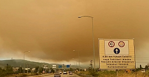 Kocaeli’deki orman yangınında alevler bir köye sıçradı: Duman Bursa’ya ulaştı