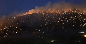 Malatya, Denizli ve Sivas’ta orman yangınları!