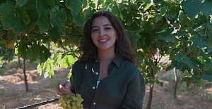 Bağdan dünyaya uzanan üzümün serüveni