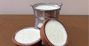 Silifke Yoğurdu, Türkiye’nin AB koruması alan ilk yoğurdu oldu