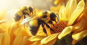 Toplu arı ölümleri ekosistemi bozuyor