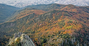 Uludağ'da sonbahar renkleri hakim oldu