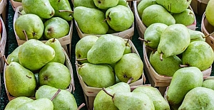 Uzmanlar armudun faydalarını saymakla bitiremedi