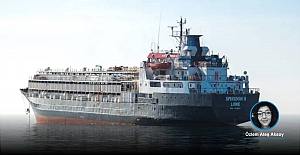 Canlı hayvan taşıyan gemi Bandırma açıklarında demirlendi: Gemideki 48 sığır öldü