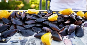 İki çocuk ve annelerinin gıda zehirlenmesinden ölümüyle ilgili dört gözaltı