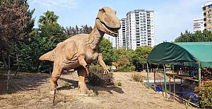 Milyonluk "dinozorlar" çürümeye terk edildi