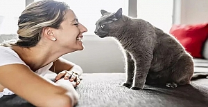 Kediniz nefesinizi neden bu kadar çok kokluyor? Sebebini öğrenince çok şaşırasınız!