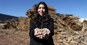 Köyünde fabrika kurdu, onlarca kişiyi iş sahibi yaptı! Fazladan ağaç kesimini de önlüyor