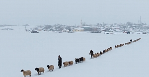 1940 rakımda besicilerin zorlu mesaisi