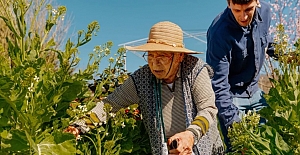 Daha uzun yaşamak için küçük adımlar